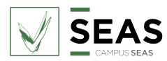 Curso de Procesos de Hidrógeno y Pilas de Combustible - SEAS, Estudios Superiores Abiertos